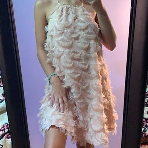 Champagne Pink Feather Dress